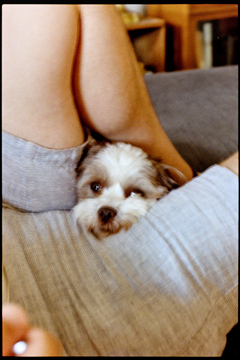 Annie poking her head through my shorts