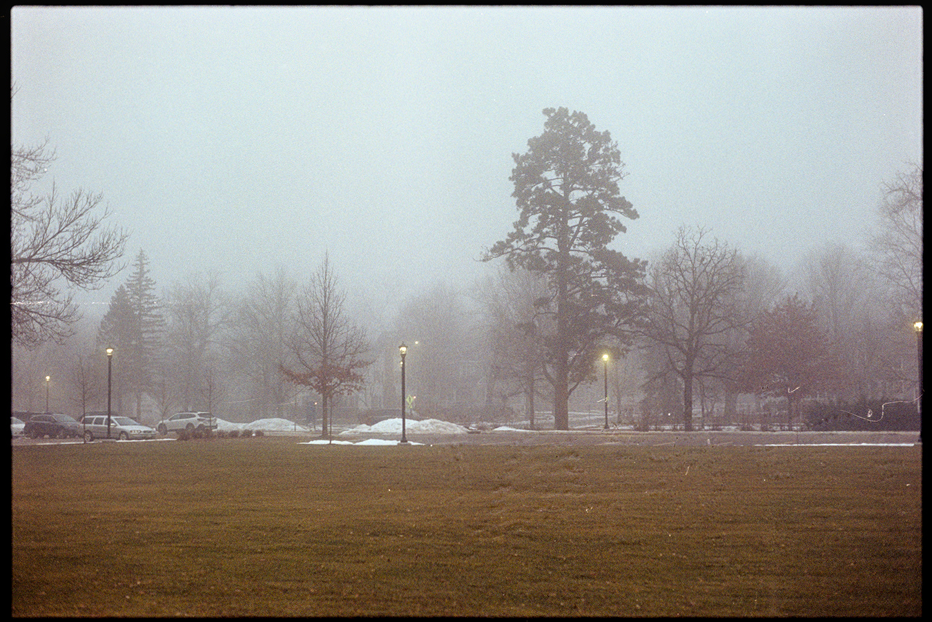 Grassy acre with parking lot, lamps, and cars in heavy fog
