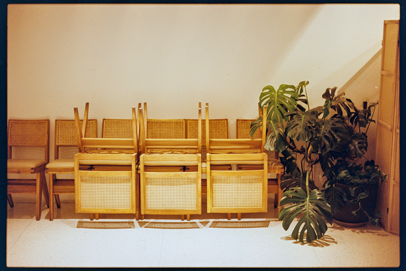 Chairs and plants sitting outside of the restaurant Cardamom within the Walker Art Center