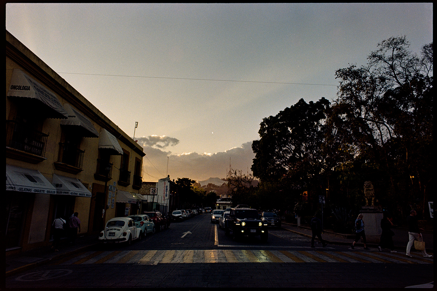 Busy street at night next to a park in Oaxaca City