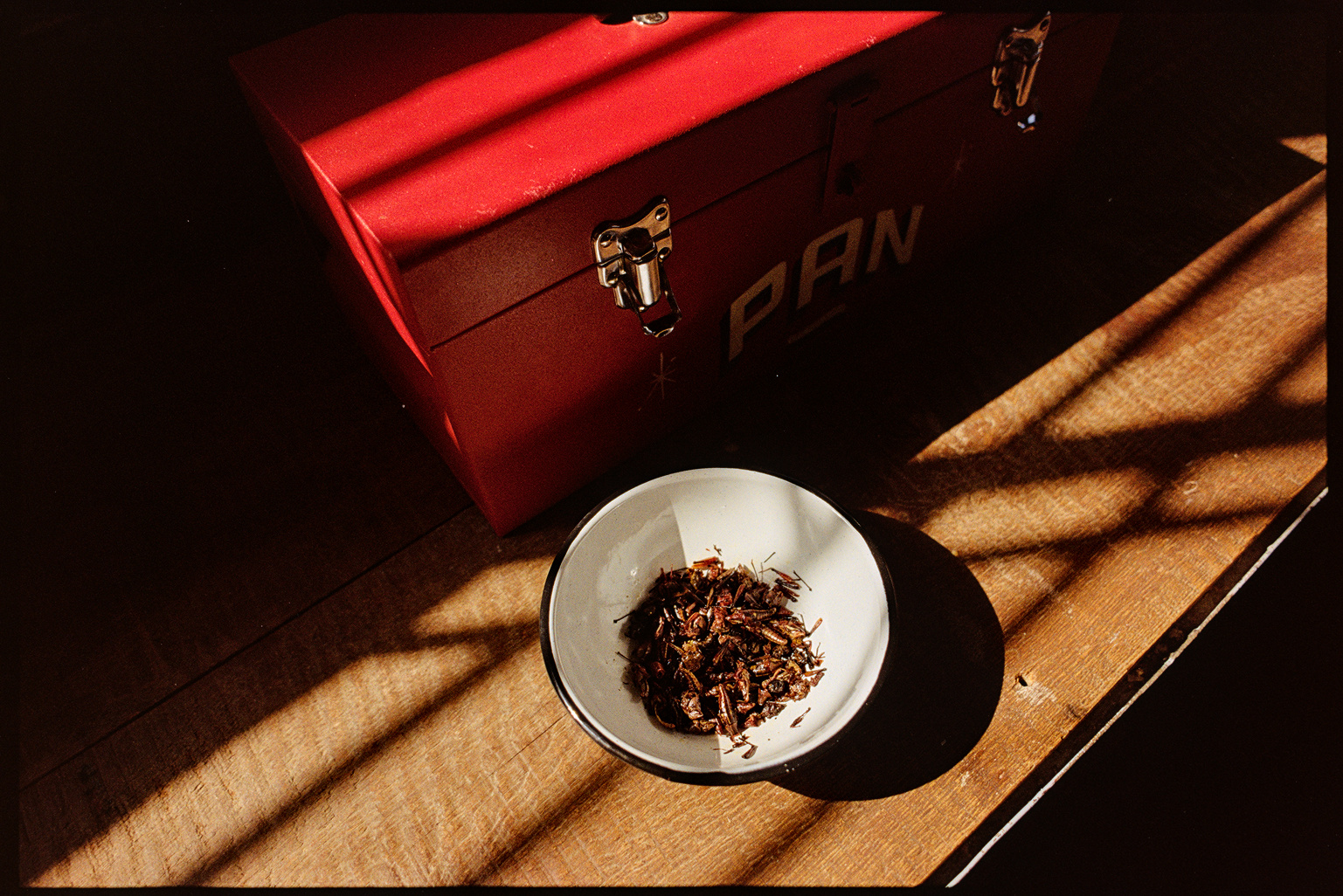 Bowl of crickets next to a red bread box in apartment in Oaxaca City