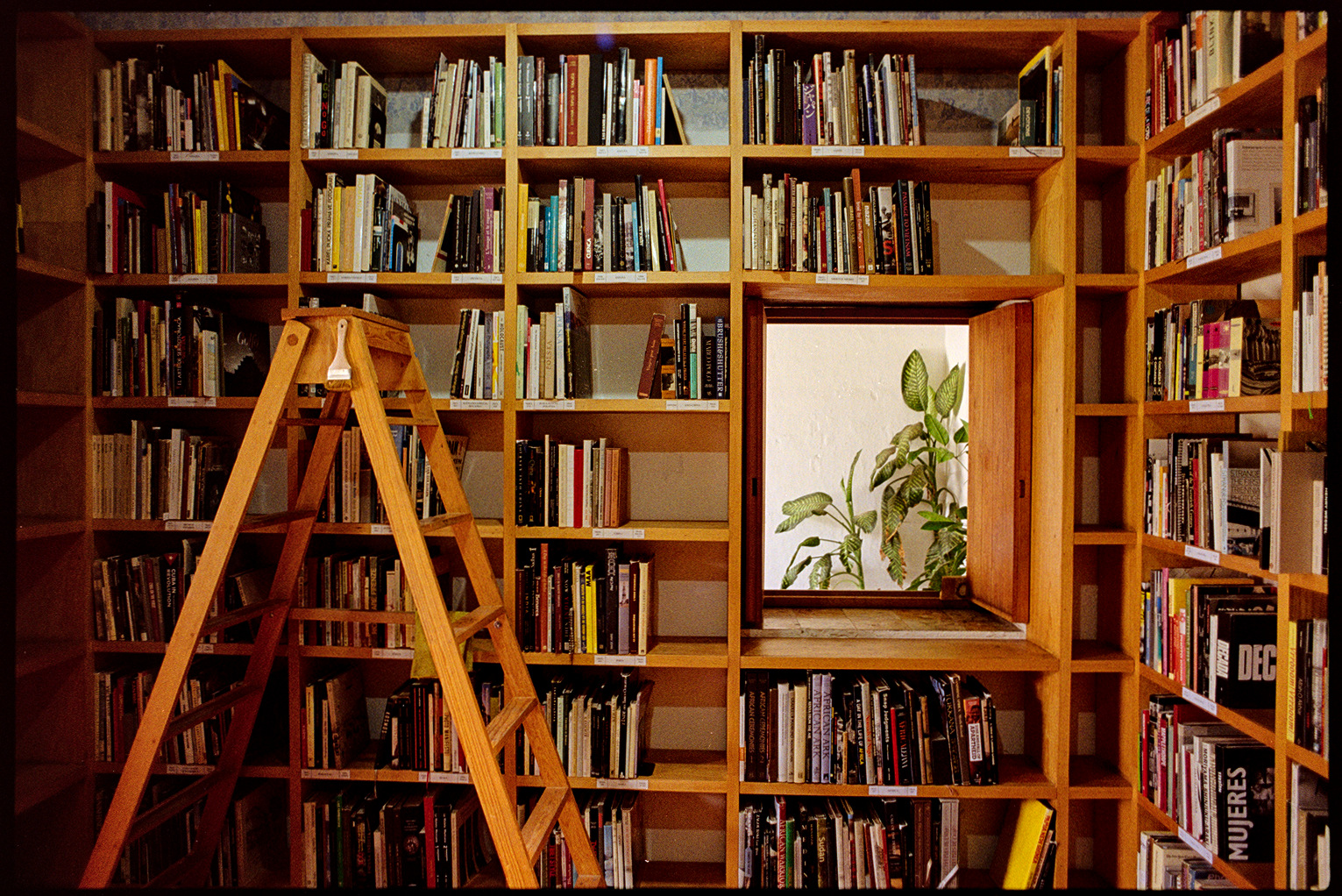 Inside the library of the photography museum in Oaxaca City