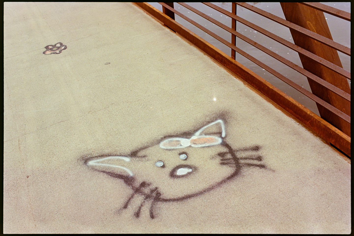Spray painting of a cat on the concrete footpath of a bridge