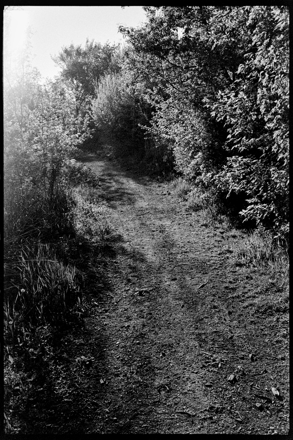 Path around a lake in evening sunlight
