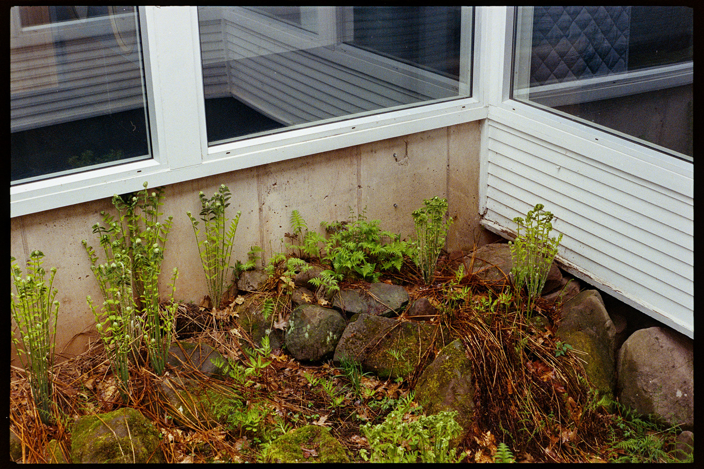 A rock garden in a courtyard of the Wild Rice retreat lodge in Bayfield, Wisconsin