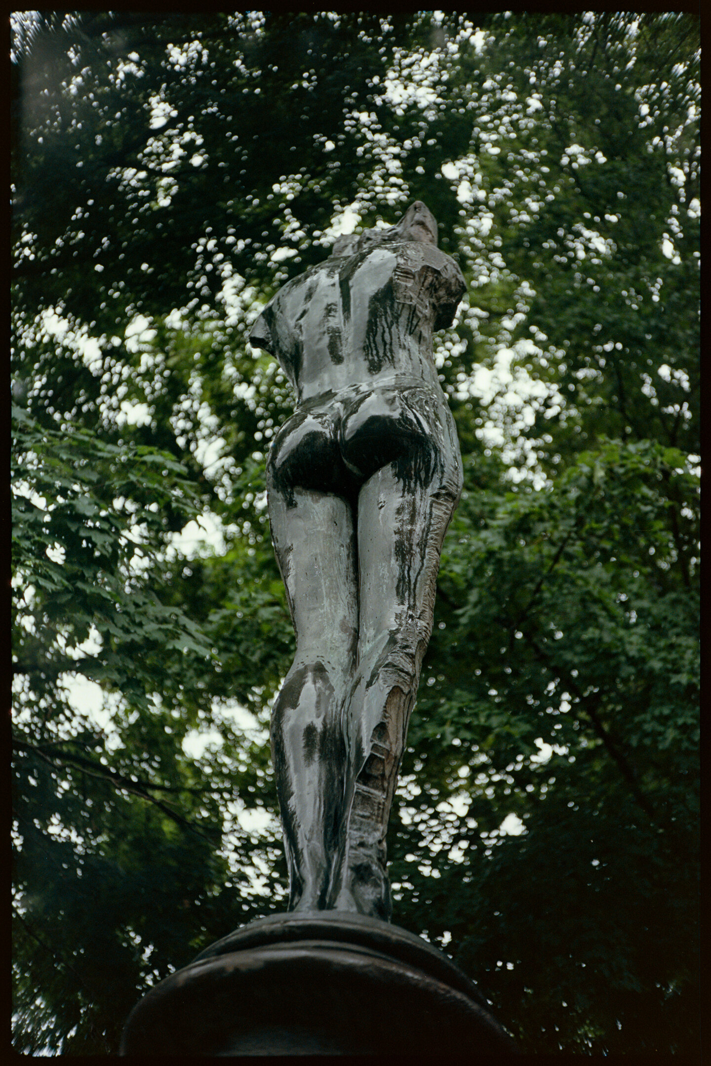 A bronze statue of a person that is glistening in the rain with foliage of trees in the background