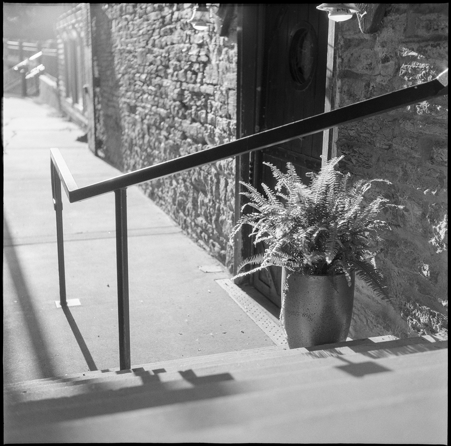 Alley with stairway, fern plant, and bar door