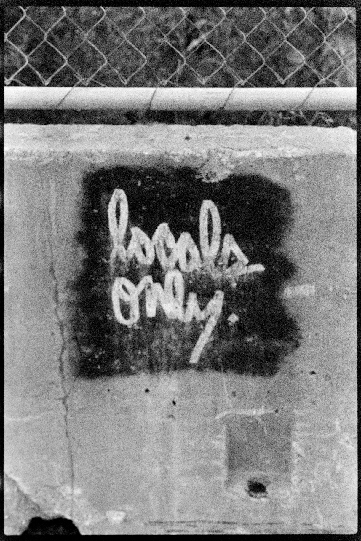 Graffiti on concrete barrier that says Locals Only
