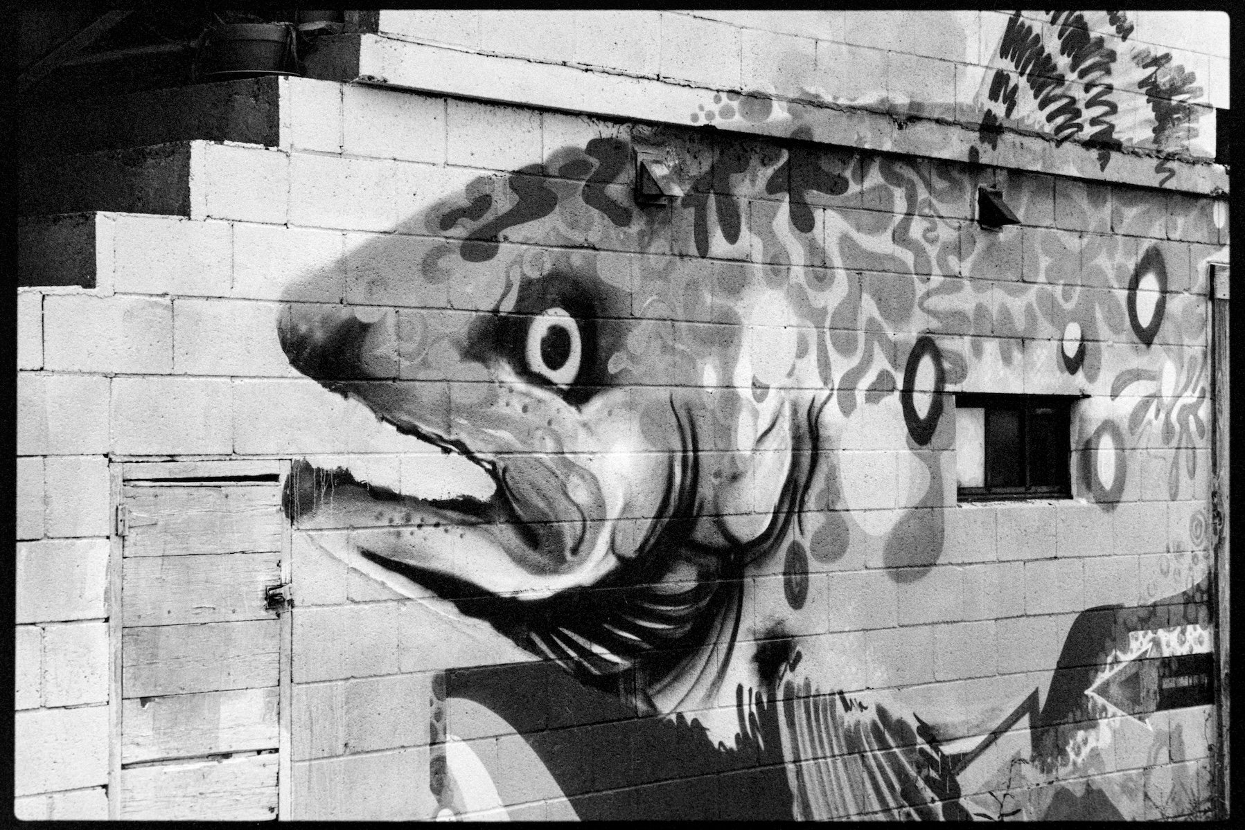 Fish mural on cinderblock wall