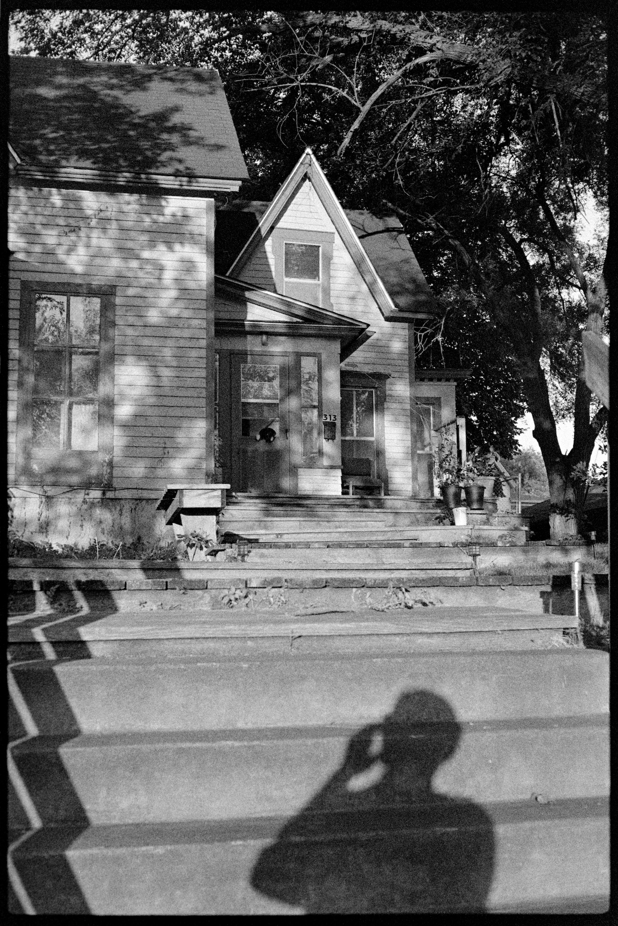 Old house with dog in the window