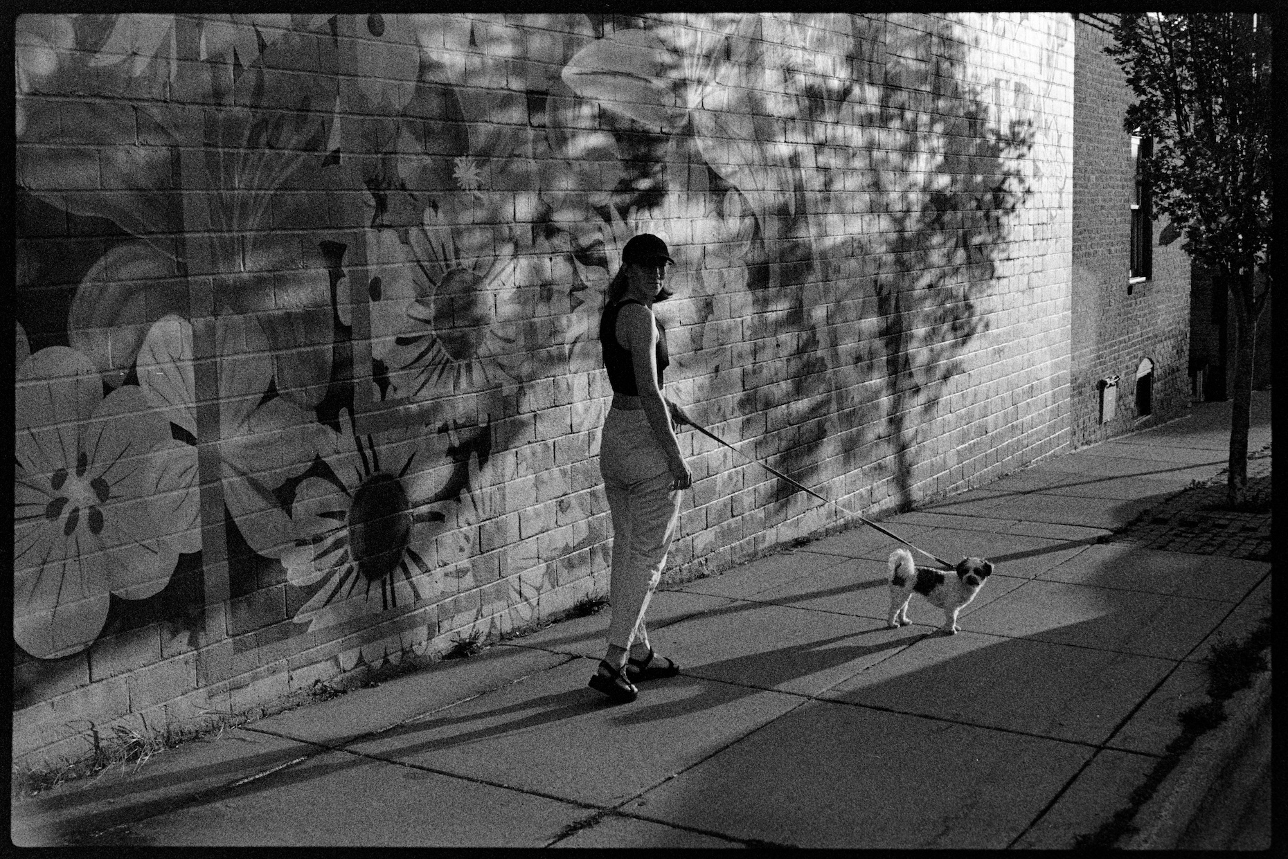 Kallie and Annie walking in evening shadows
