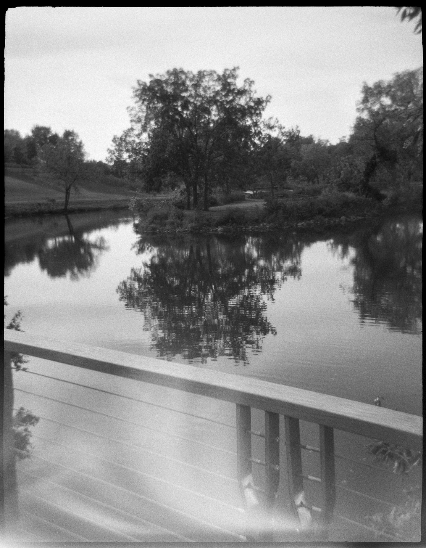 A small island in a lake with a large tree on it