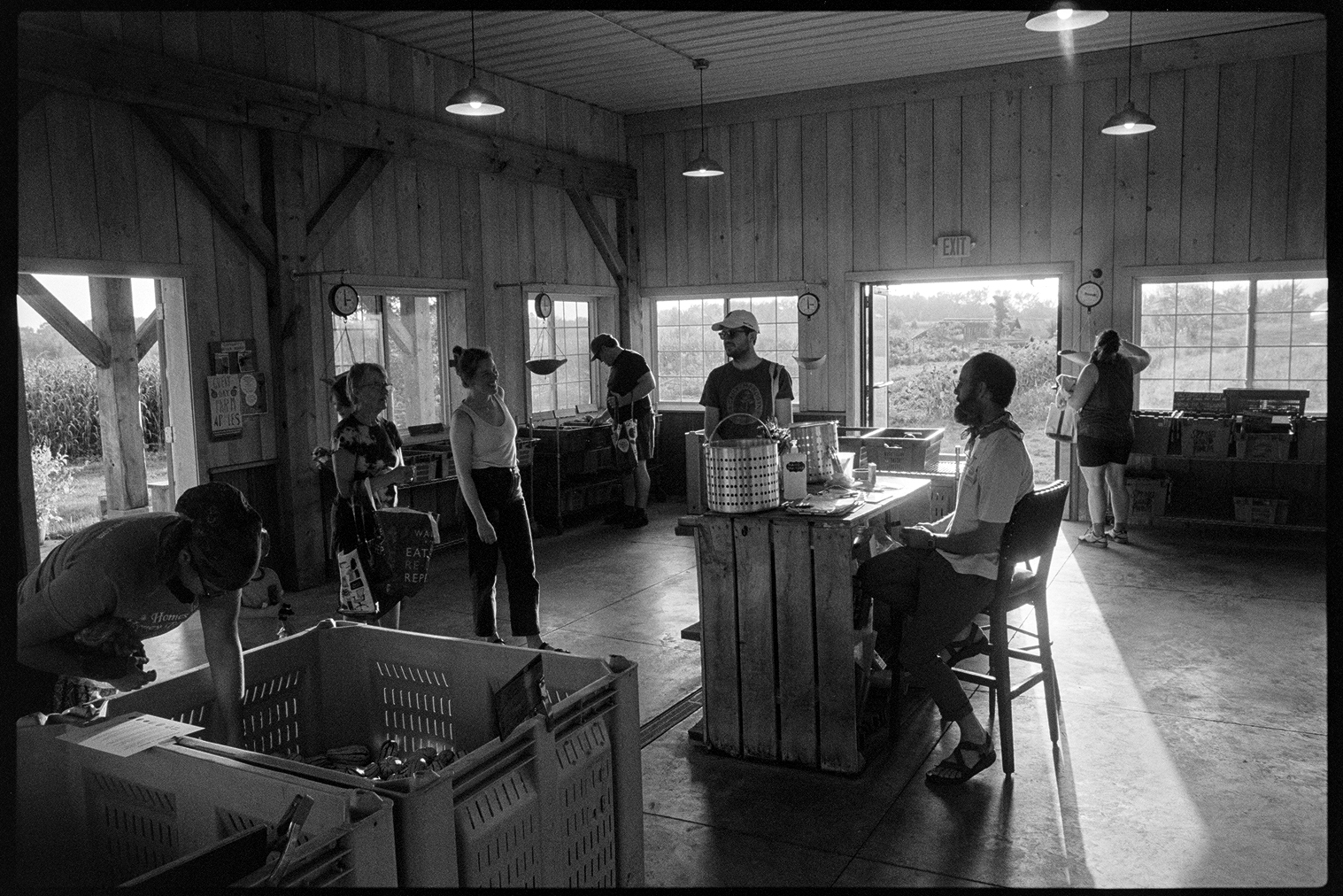 People picking up veggies at the Spring Wind CSA