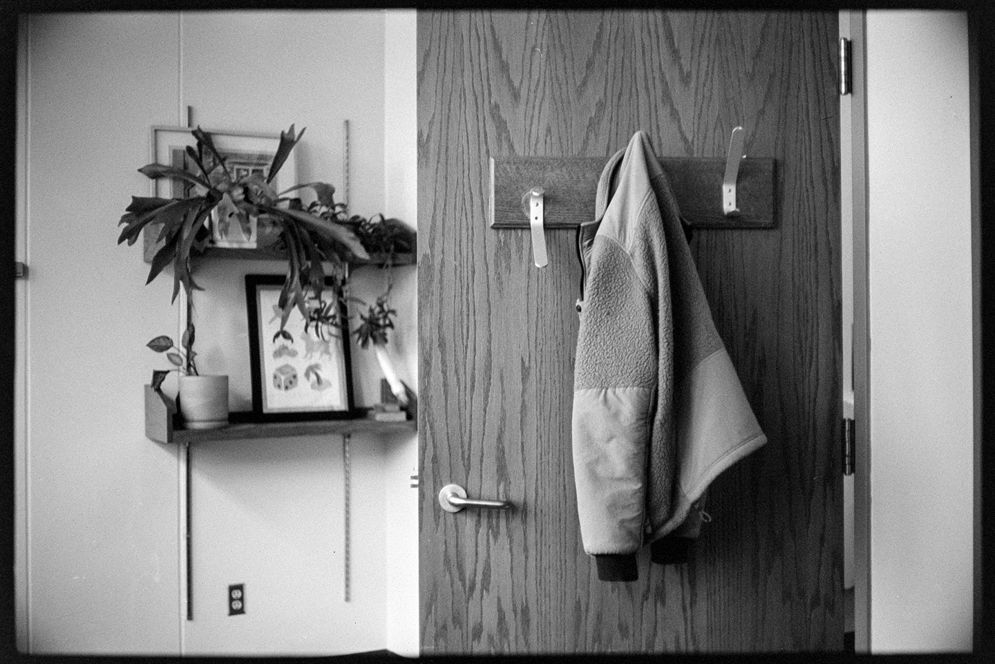 The author's office with plants on shelves and his jacket hanging on the back of a door