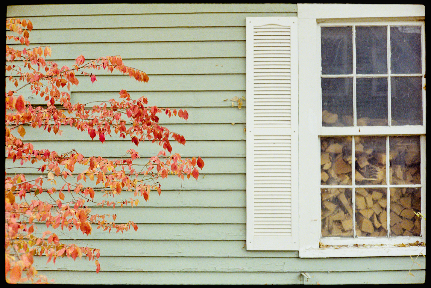 Green garage with orange leaves and a wood pile