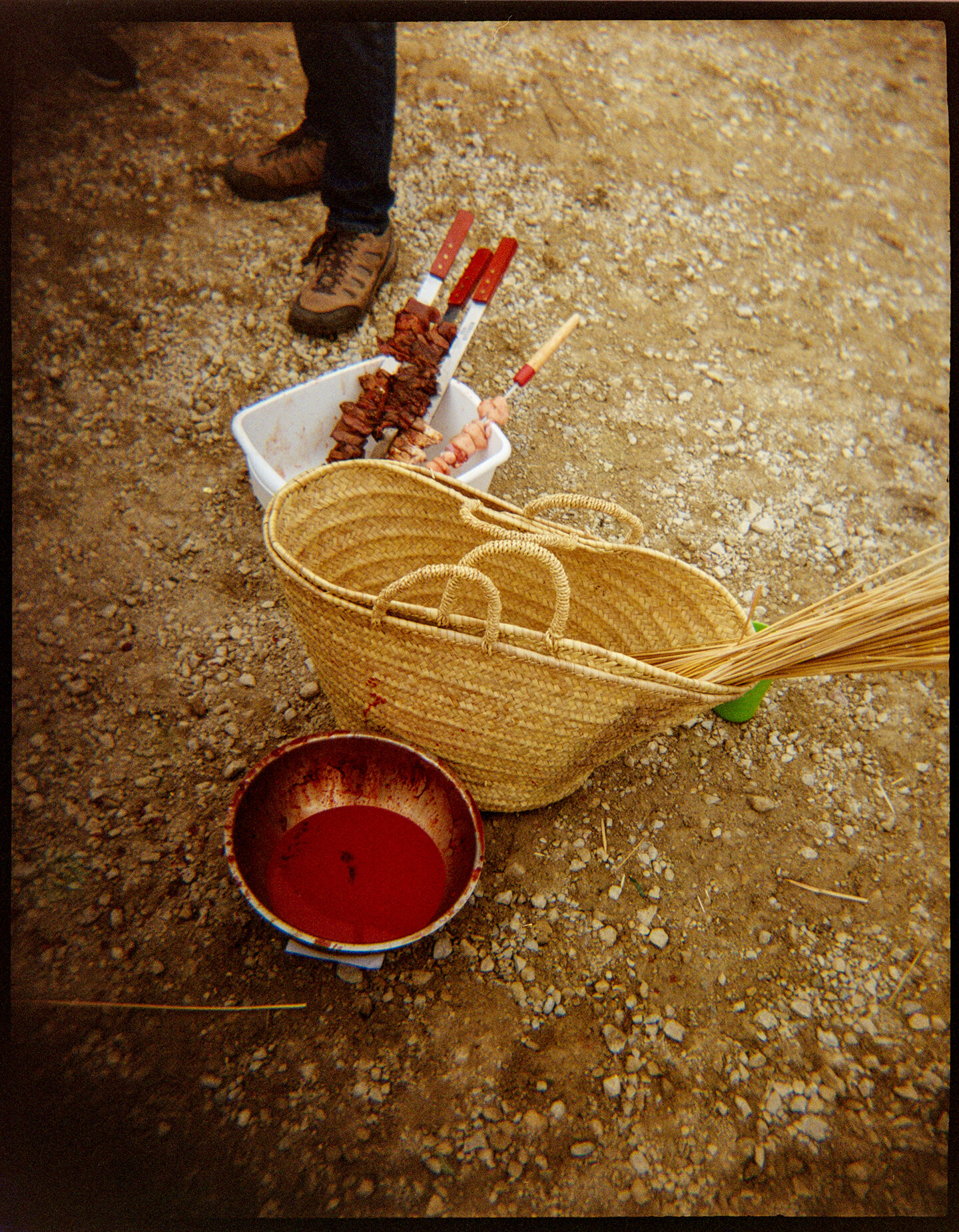 A metal bowl filled with goat blood next to wheat stalks used in an ancient Greek ritual