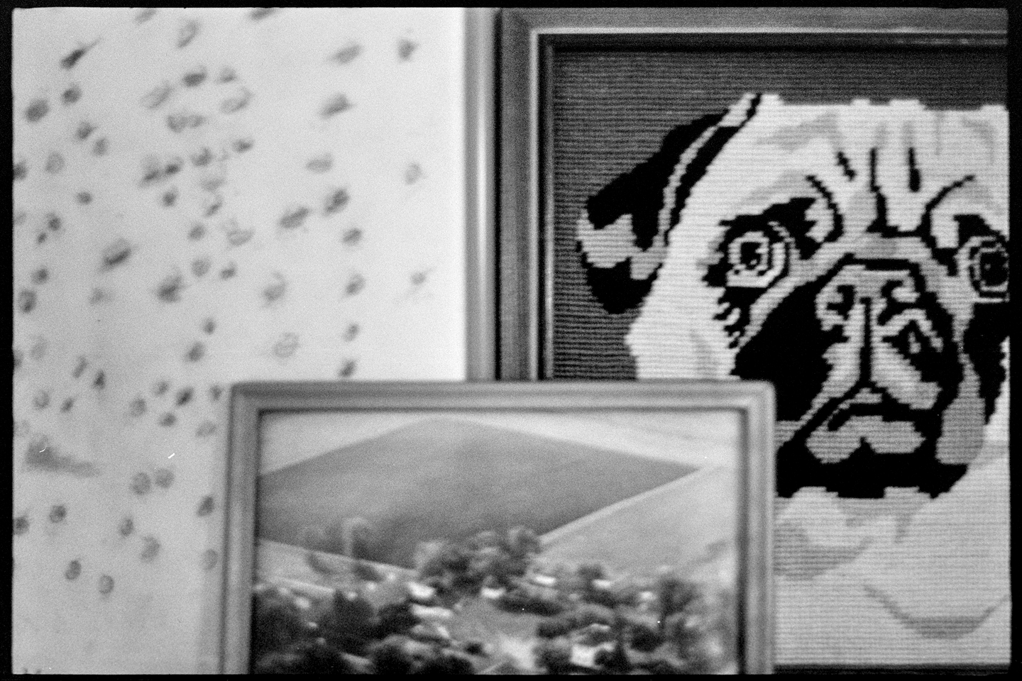 A piece of art, a cross-stitched pug, and an aerial photograph of Kallie's family farm