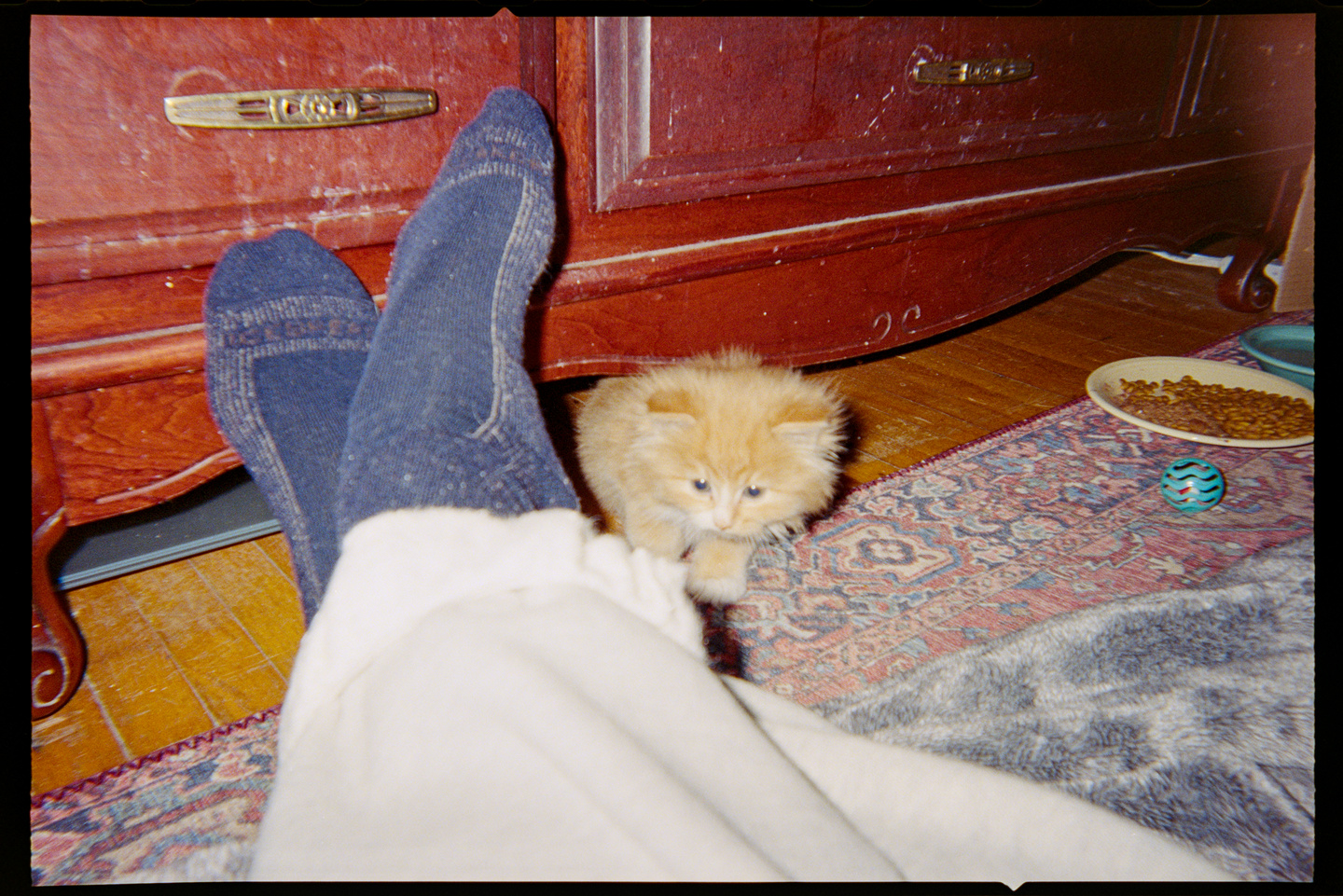 A tiny orange kitten coming out from under a dresser next to someone's legs and feet.