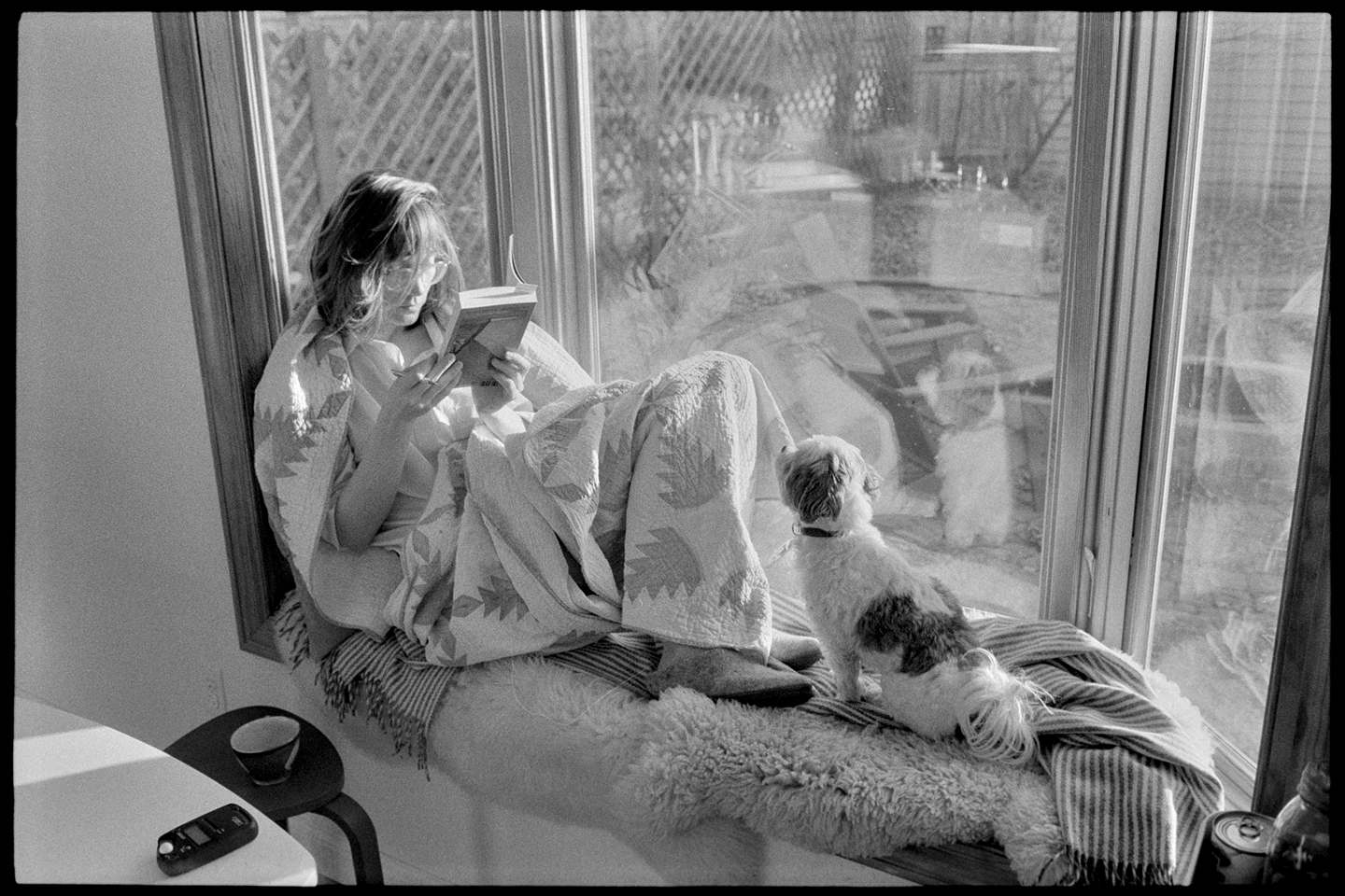 Kallie and Annie the dog eating breakfast in the bay window of the kitchen