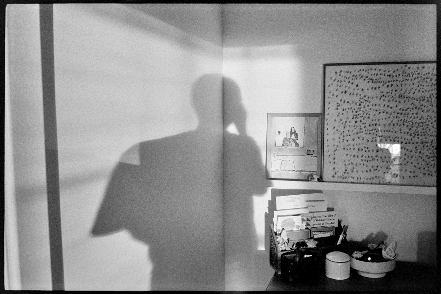 My afternoon shadow cast in the corner of our dining room