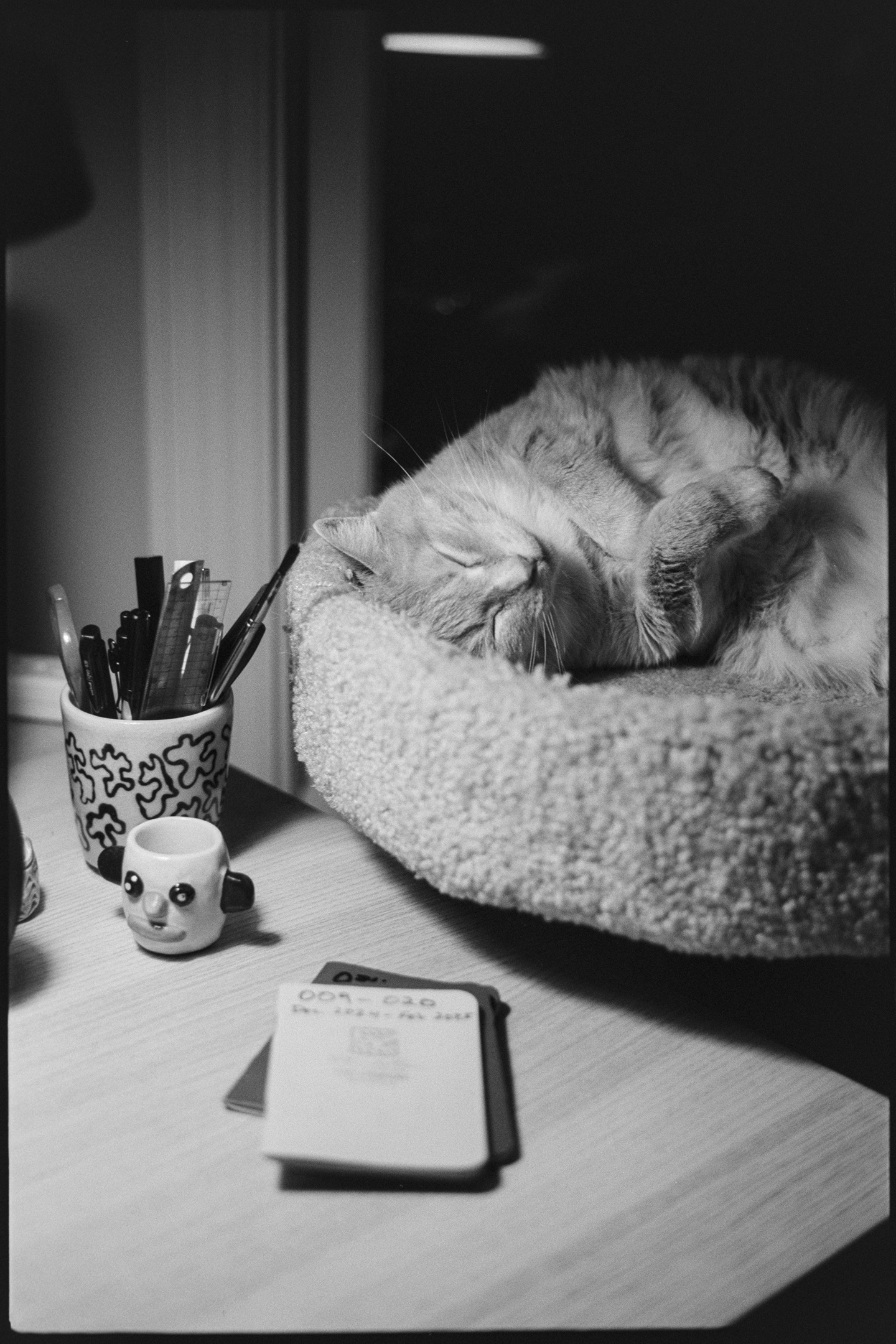 Flannery the cat sleeping next to a desk with her paws in the air