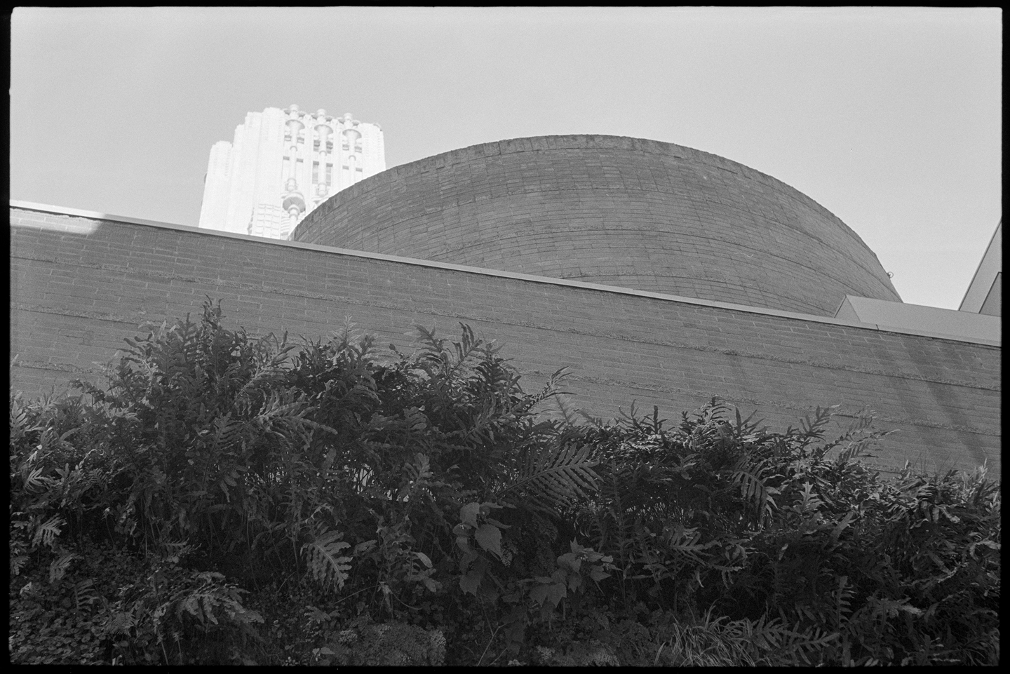Courtyard at the San Francisco Museum of Modern Art