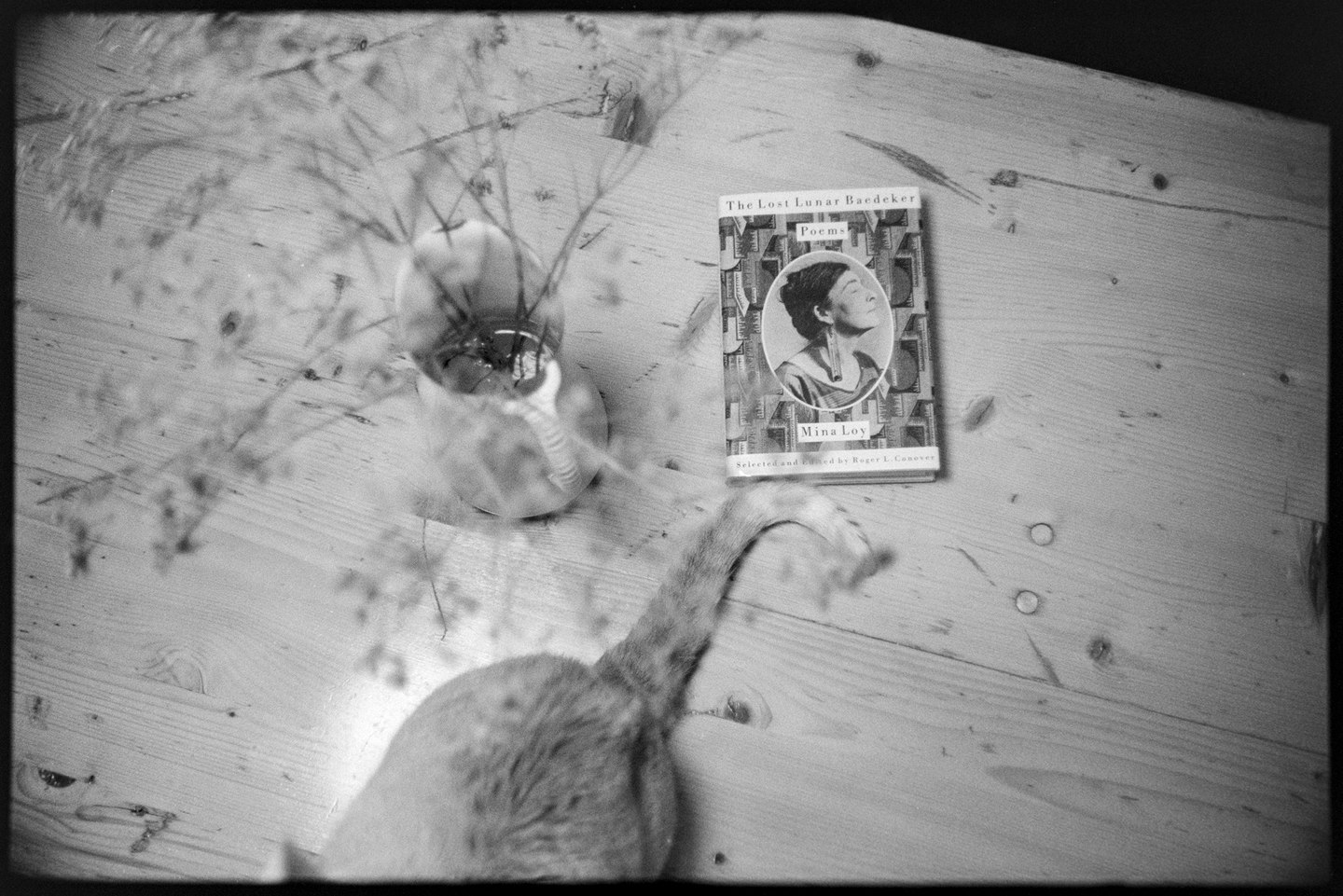 A book of Mina Loy's poetry, a vase with flowers, and a cat on a dining room table shot from above