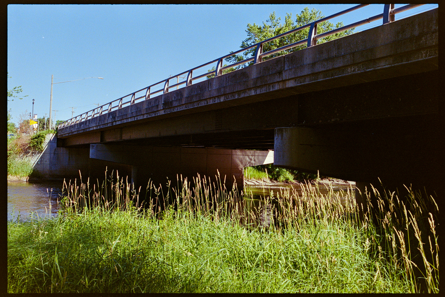 A concrete bridge spanning the Cannon River with tall grasses in the foreground