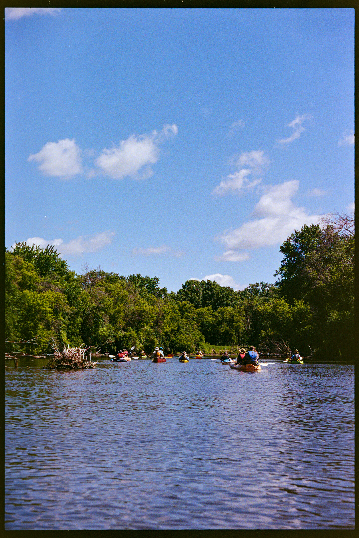 A group of kayakers going down the Cannon River with green trees and a big blue sky in the background