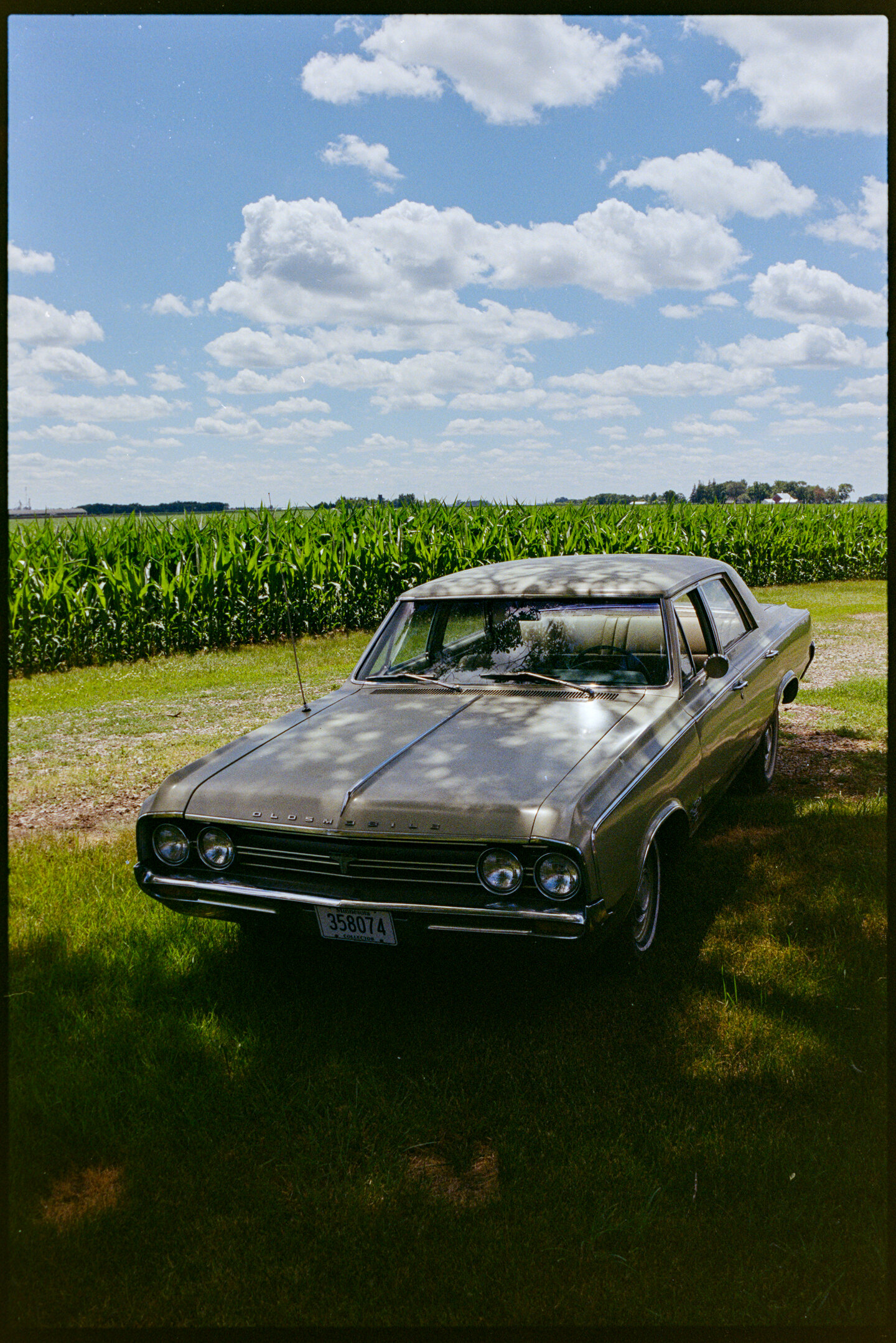 A 1960s Oldsmobile car sitting in the shade of a tree with a green cornfield and blue sky with clouds in the background